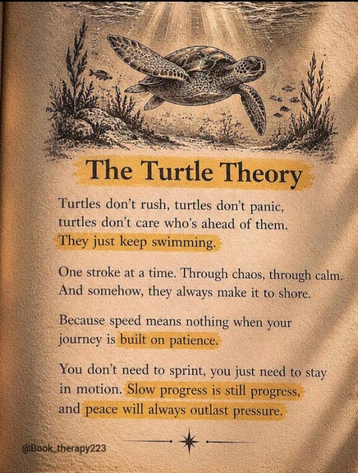 The Turtle Theory: Why Peace Will Always Outlast Pressure