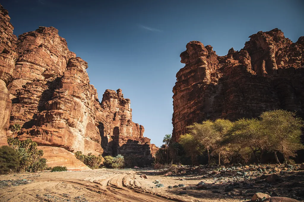 Saudi Arabia travel bucket list
